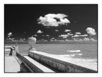 ...THE SEA... ...THE SEA...
