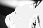 in the eyes in the eyes