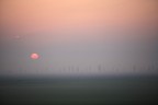 tramonto con nebbia nel delta del po