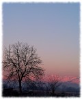 mattino mattino