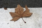 Inverno Inverno