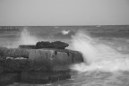 CANON EOS 5D B&W CANON EOS 5D B&W