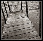 Dove mi porti? (n� zero)