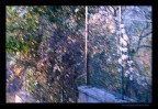 monet monet