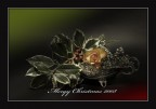 i miei Auguri di Natale a Tutti i miei Auguri di Natale a Tutti
