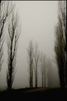 la nebbia del respiro ormai.... la nebbia del respiro ormai....