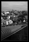 tetti di Amsterdam tetti di Amsterdam