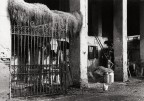 cascina lombarda cascina lombarda