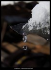 goccia di neve goccia di neve