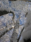 Confusione aerea Confusione aerea