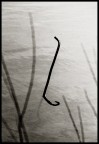 Nessie Nessie