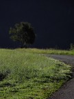 E poi la tempesta... E poi la tempesta...