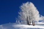 ha nevicato ha nevicato