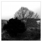 coeurs en hiver coeurs en hiver