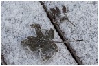 -3° -3°