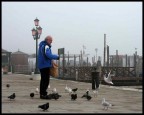 Piccioni Piccioni