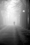 solitudine nella nebbia solitudine nella nebbia