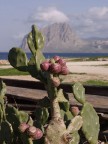 sapore di sicilia sapore di sicilia