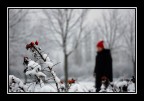 inverno1 inverno1