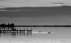 panorama b/w