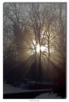 Ho visto la luce Ho visto la luce