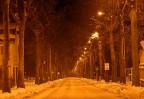 Winter Winter