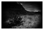 the long way the long way