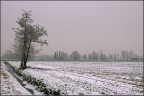 campagnie milanesi campagnie milanesi