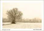 paesaggi invernali paesaggi invernali