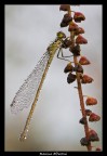 Arrampicata libera... Arrampicata libera...