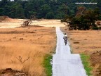 Olanda-bici Olanda-bici