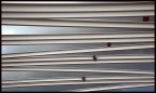 linEE bianCHE linEE bianCHE