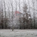 Nebbia e neve a Viadana, 2009