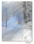 Via innevata Via innevata