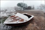 Antica Bellezza... Antica Bellezza...