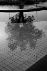 piscina d'inverno piscina d'inverno