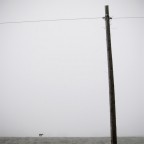 La Mai Finita 2, Viadana 2009