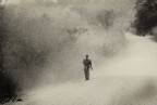 dust dust