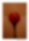 rosso rosso