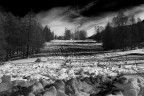 Graffi di neve Graffi di neve