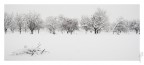 Nevicata del 07 Gennaio Nevicata del 07 Gennaio