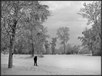... passeggiata al gelo ... ... passeggiata al gelo ...