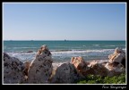 stessa spiaggia stesso mare (un mese dopo....) stessa spiaggia stesso mare (un mese dopo....)