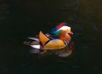 Al-parco_208 Al-parco_208