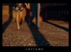 INsieME INsieME