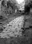 via amerina 3° secolo av.c via amerina 3° secolo av.c
