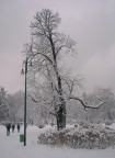 aria di neve aria di neve
