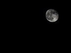 Luna (desktop) Luna (desktop)