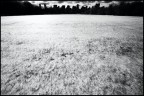 Central Park - NYC Central Park - NYC