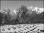 Impressioni di Novembre Impressioni di Novembre